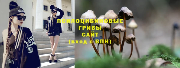 молекула духа Абдулино