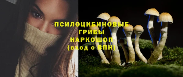 mix Абаза