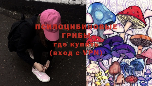 скорость Пересвет